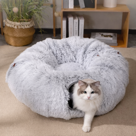 NICHE A CHAT | TUNNEL